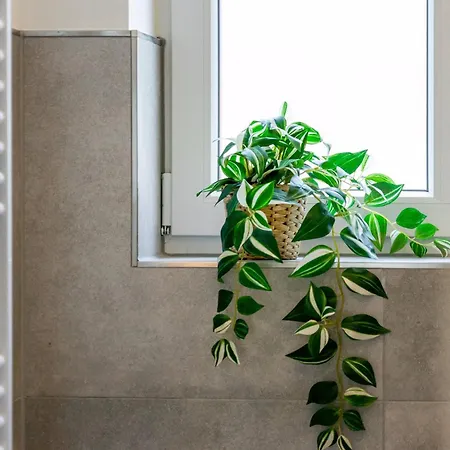 Apartamento Friesenlust *