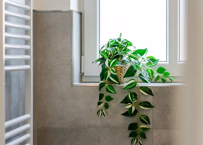 Апартаменты Friesenlust *