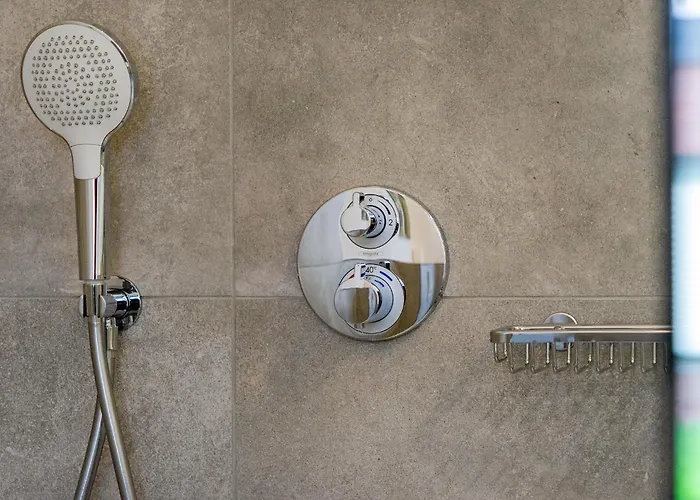 Апартаменты Friesenlust *